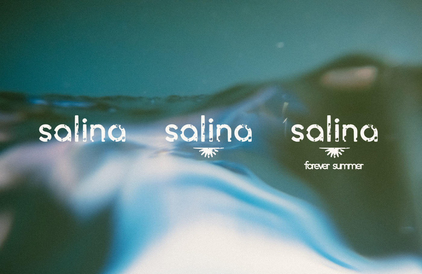 Salina logo