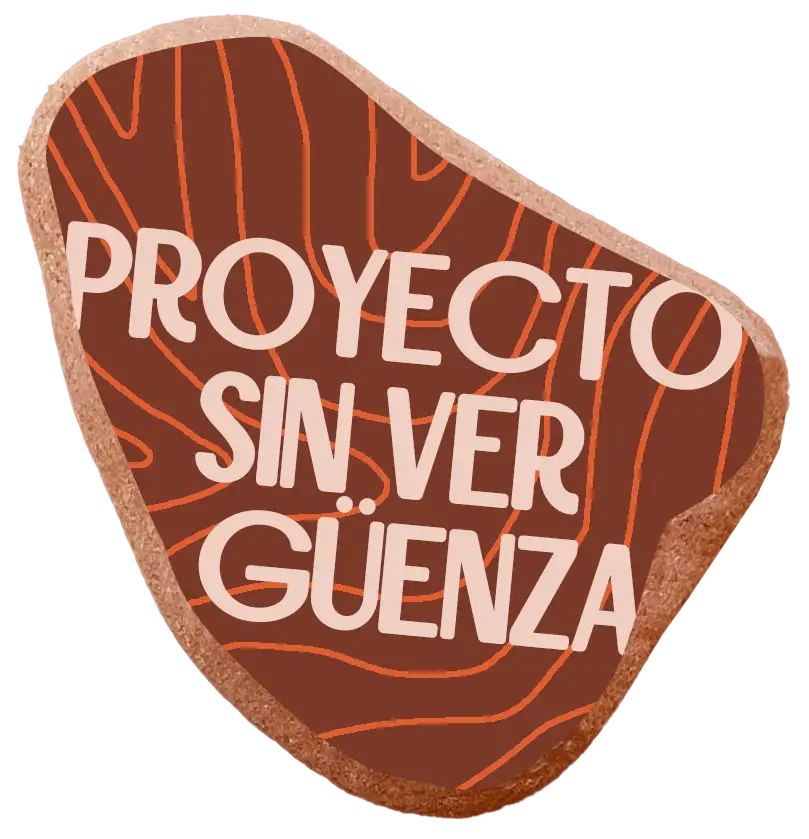 Proyecto Sin Vergüenza