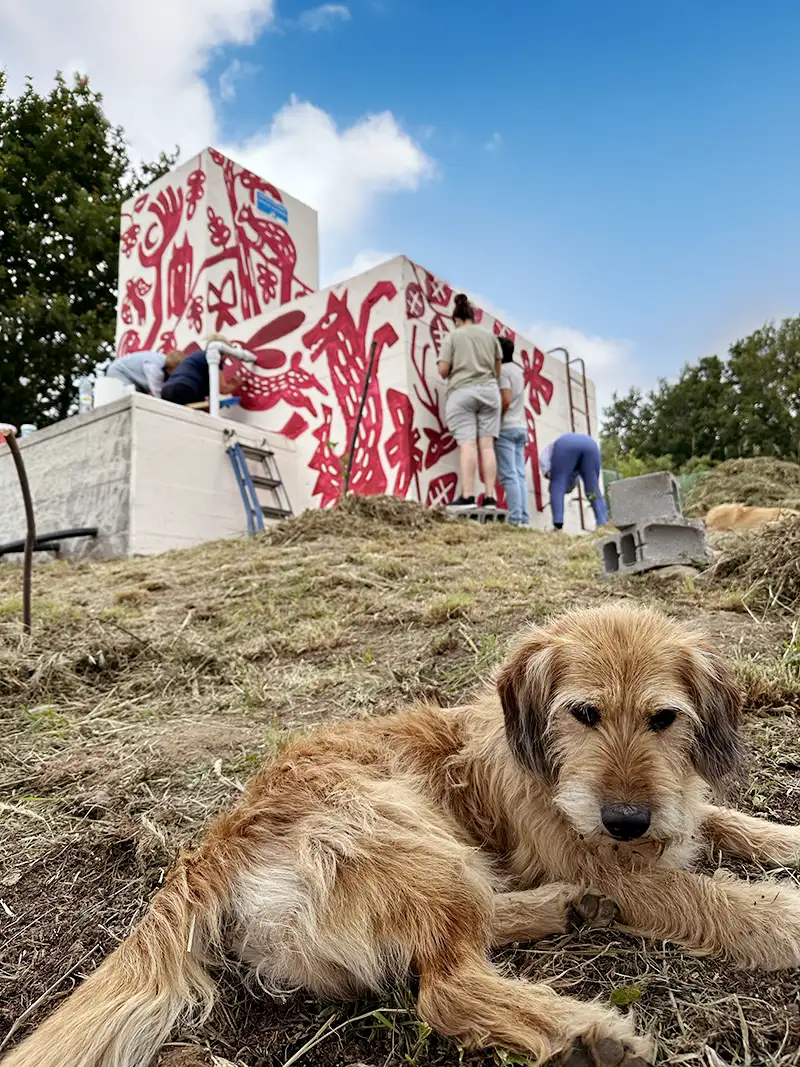 mural-Teixeira2